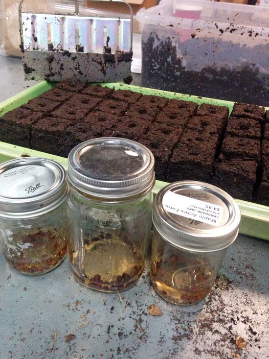 Soil blocking by Jig-Bee