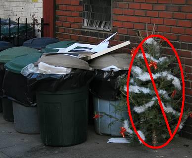 Christmas Tree Recycling Program 2012