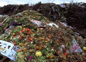 food-waste