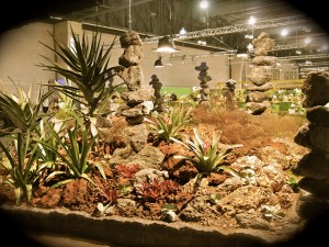 Garden of the Gods display, the desert of Lanai Island at the Philadelphia Flower Show