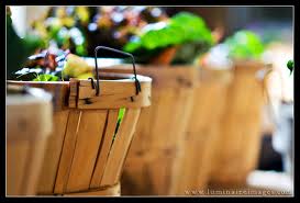 Philadelphia Area CSA Groups : Plenty of Local Food to Enjoy!