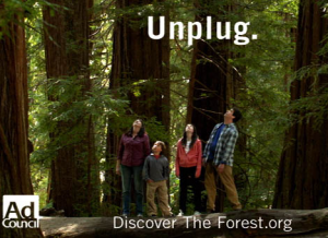unplug & reflect in nature - quick tip friday