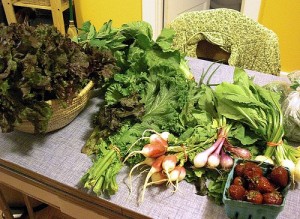 example of a CSA share