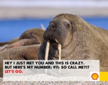 Call me maybe - Shell Oil Campaign