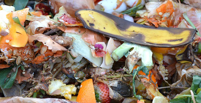 Where Can I Compost in Philly?
