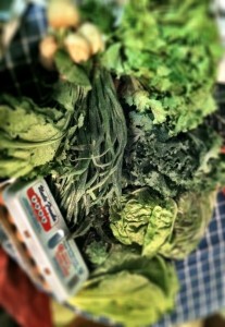 csa spring share