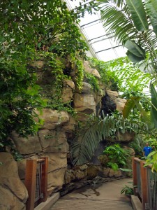 India Exhibit at Phipps