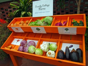 Produce Display for kids at Phipps
