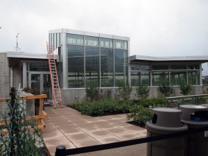 One of the greenest buildings in the world