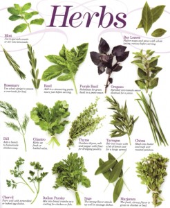 grow herbs indoor