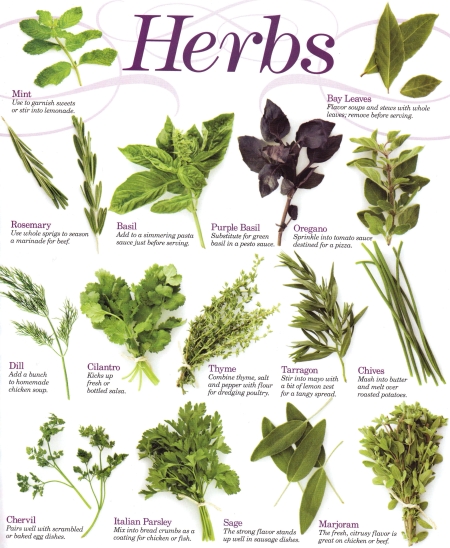 Friday Quickie: Grow Your Own Herbs
