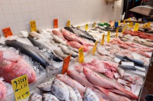 what seafood should you avoid