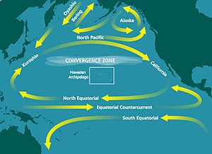 Pacific Garbage Patch - map