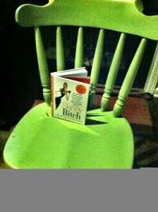 Our environmental chair in honor of Clint Eastwood (And Skinny Bitch)