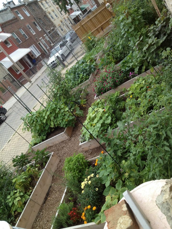 Philly’s Cleaning Up its Blocks & Vacant Lots!