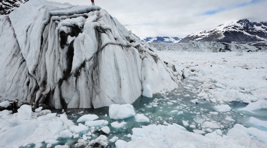 Chasing Ice: the Documentary to Catch Before it Melts