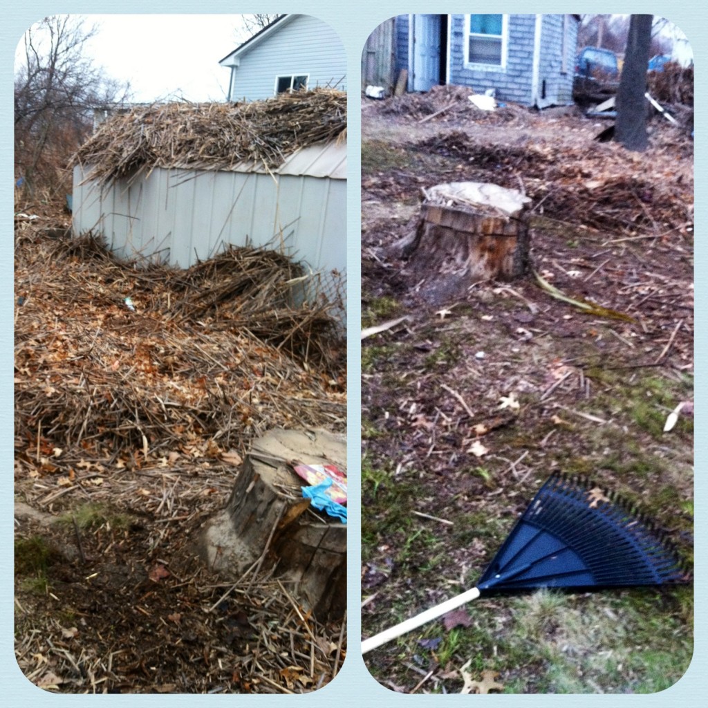 united by blue hurricane sandy island cleanup
