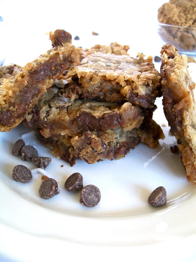 Vegan Chocolate Coconut Bars