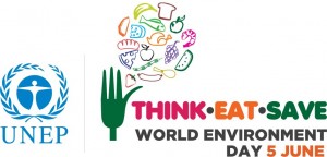 World environment day 2013