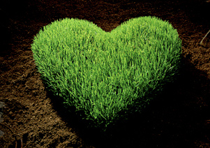 Last Minute Green Valentine’s Ideas