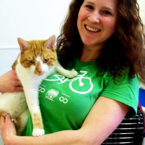 Green Your Cat Adoption: Sustainable Kitty 101