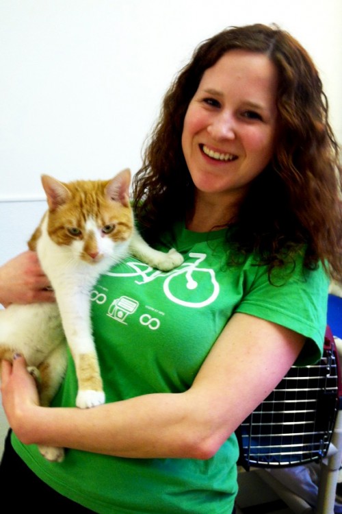 Green Your Cat Adoption: Sustainable Kitty 101