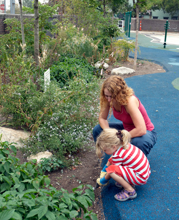 Philly’s Greenfield School Earns “Green” Award For Sustainability!