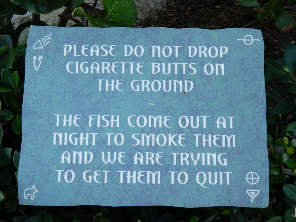 why i majored in environmental science