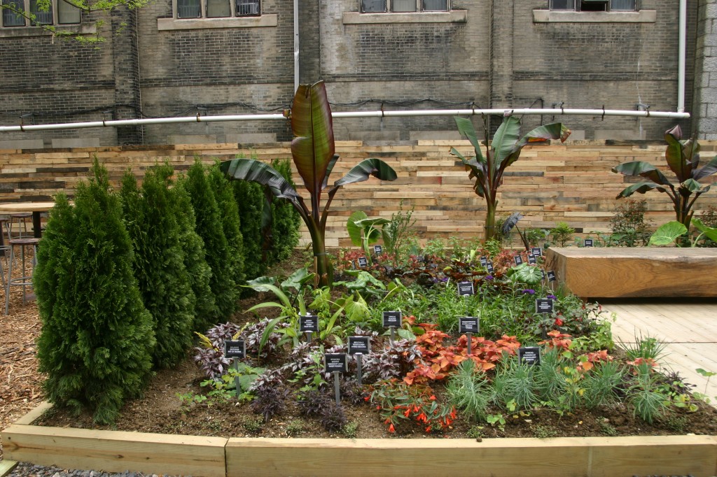 PHS pop up garden 2013