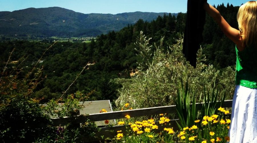 Eco Friendly Napa: Food, Activity and Wine (Obviously)