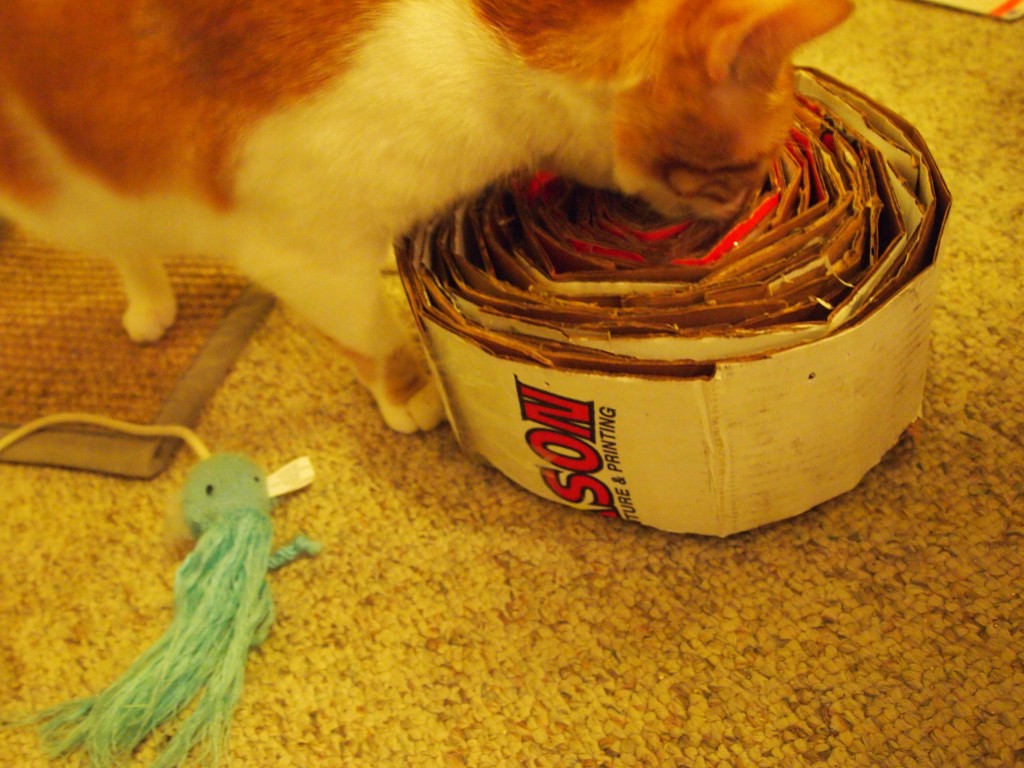 Finished DIY cat scratcher