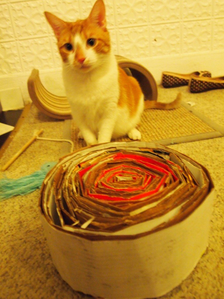 Pounce ignoring his new DIY recycled cat scratcher