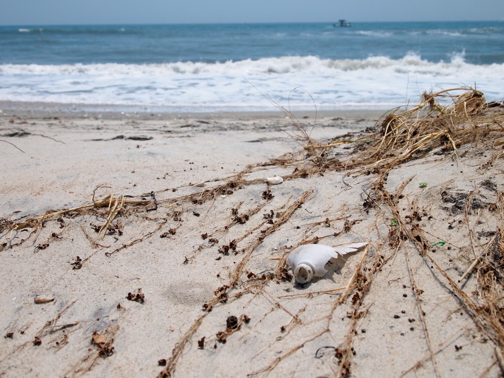 plastic pollution shackleford NC