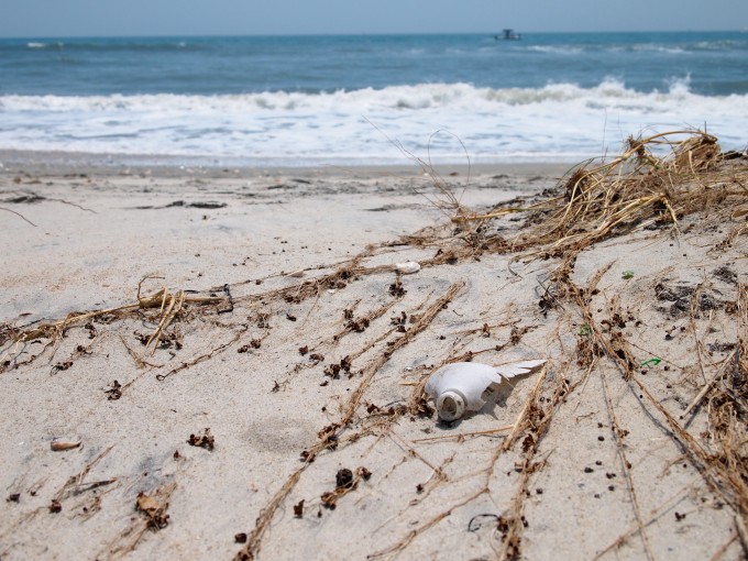 Plastic Pollution on Vacation: Cleaning Up Shackleford