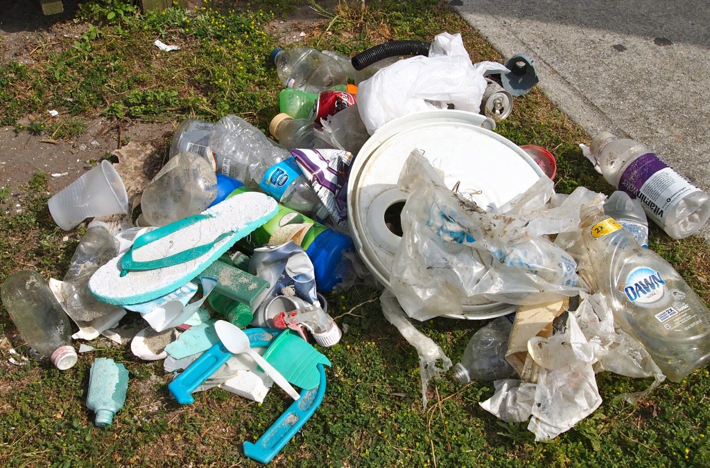 plastic pollution found in shackleford banks, NC
