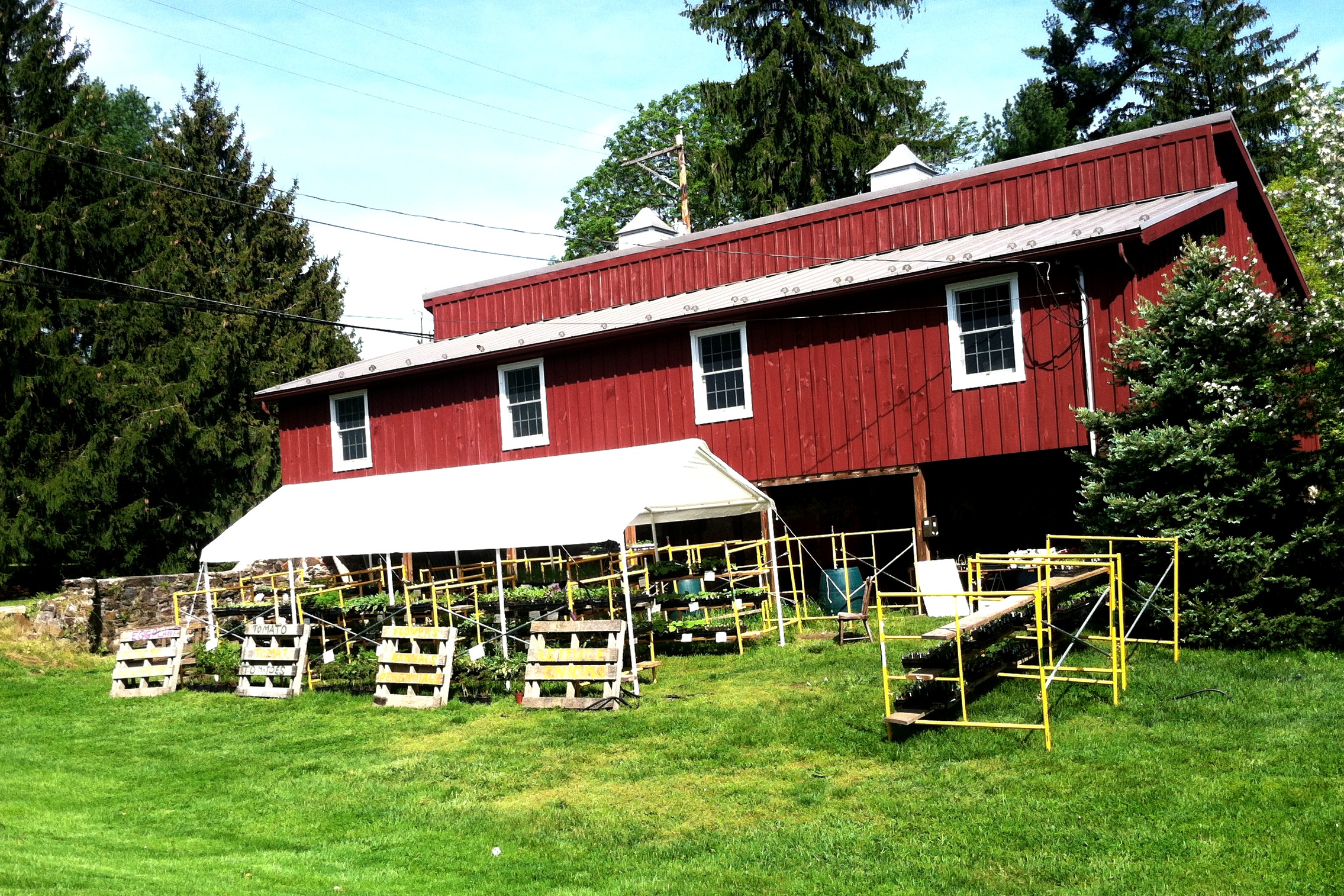 country farm