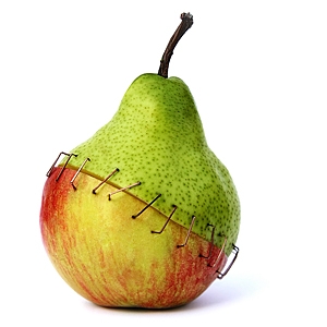 Are There Scary GMOs on Your Plate?