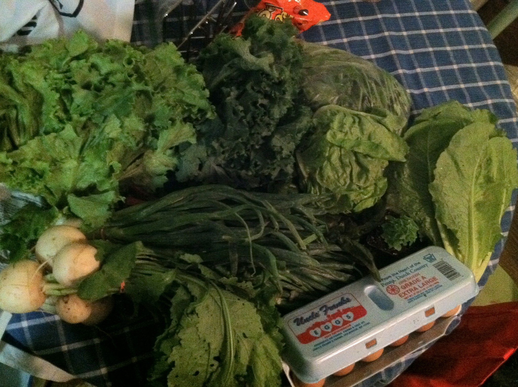 Preserve your Leafy Greens: Friday Quickie