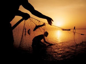 wild fish