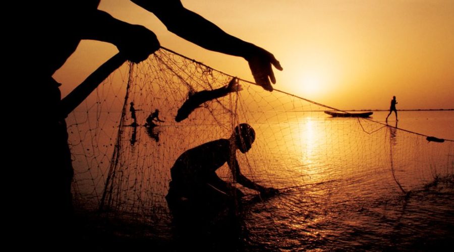 Reader Question: Why is Farm Raised Fish So Bad?