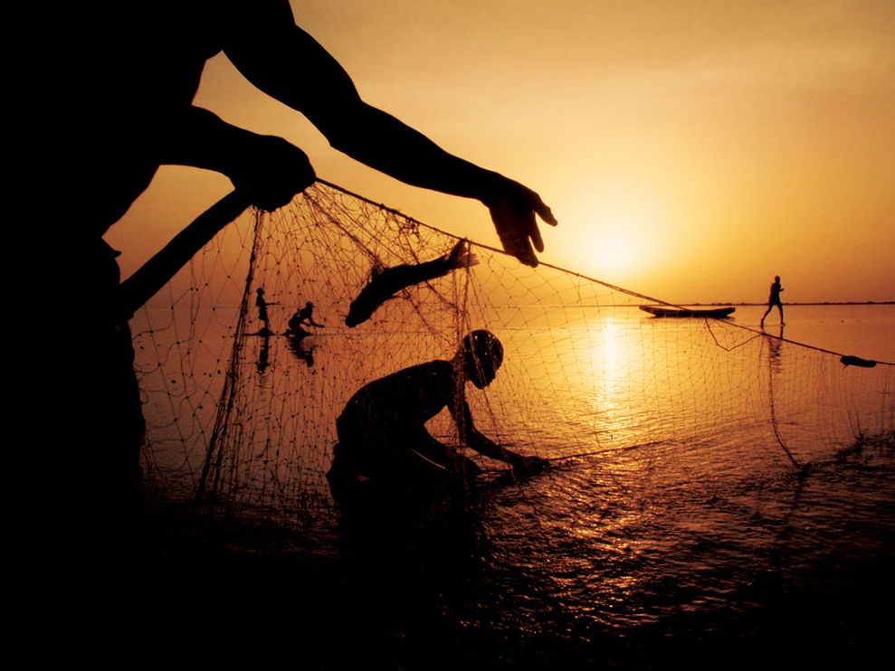 Reader Question: Why is Farm Raised Fish So Bad?