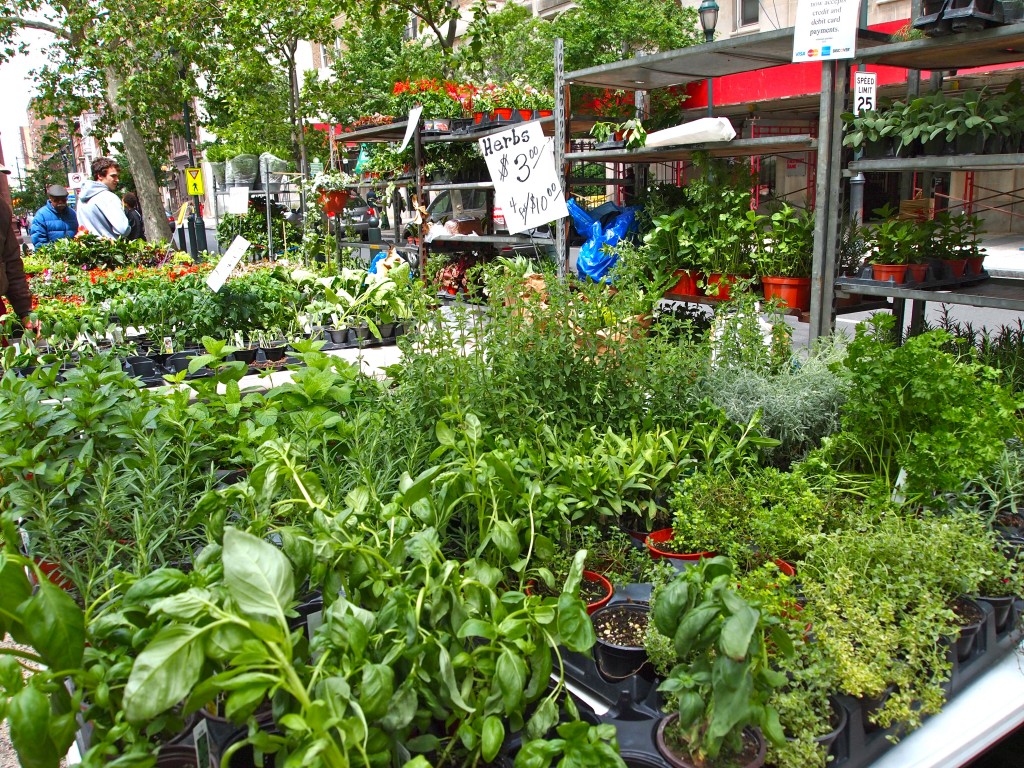 Petal's Plants Rittenhouse Farmer's Market