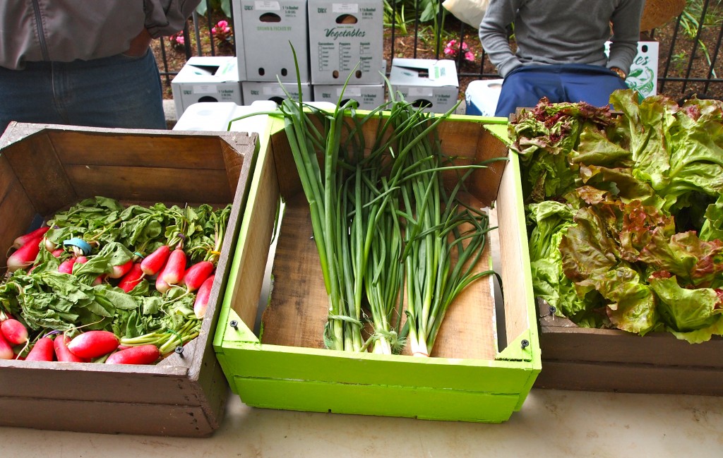 neighborhood foods CSA west philly