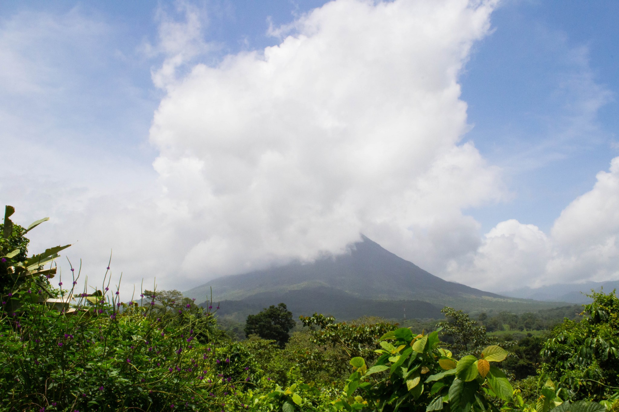Ecotourism in Costa Rica: Journey in Photos