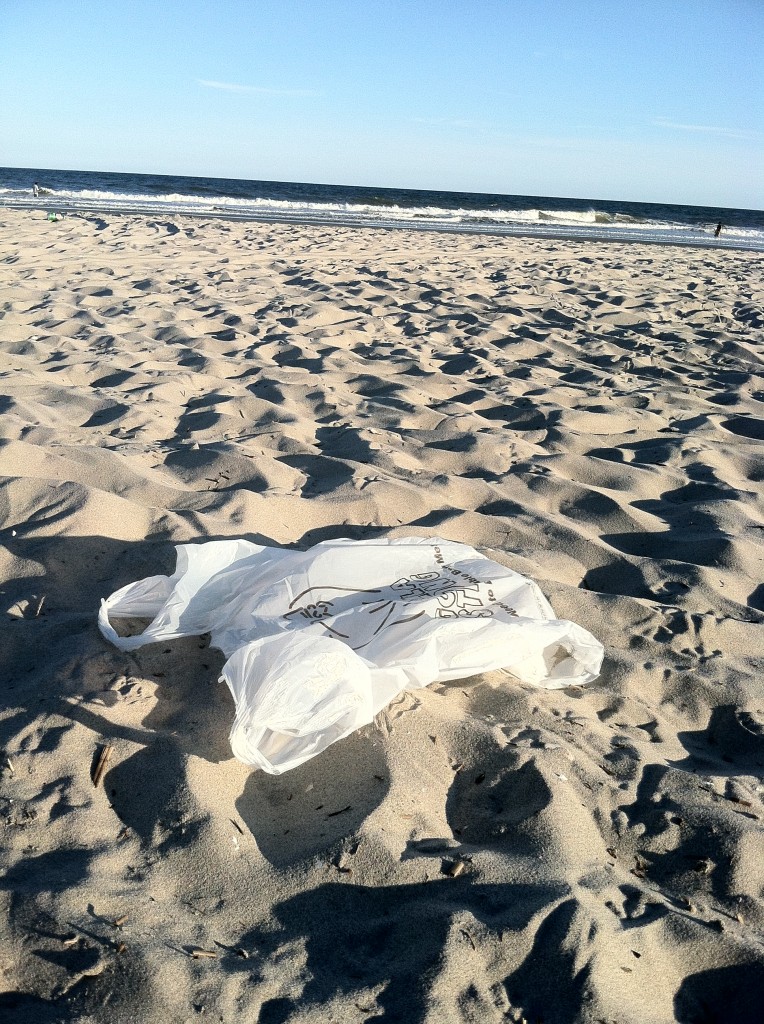 plastic bag on the beach