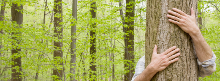 Q&A with Dave Greene of Clean Currents