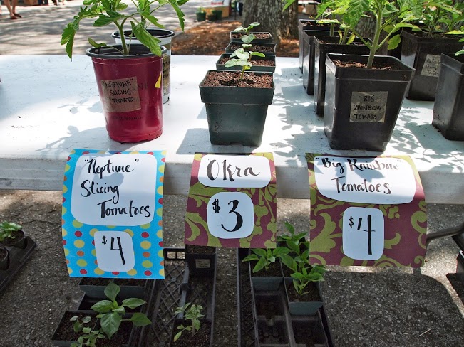 World Food Day is Today: 7 Ways to Fight Hunger
