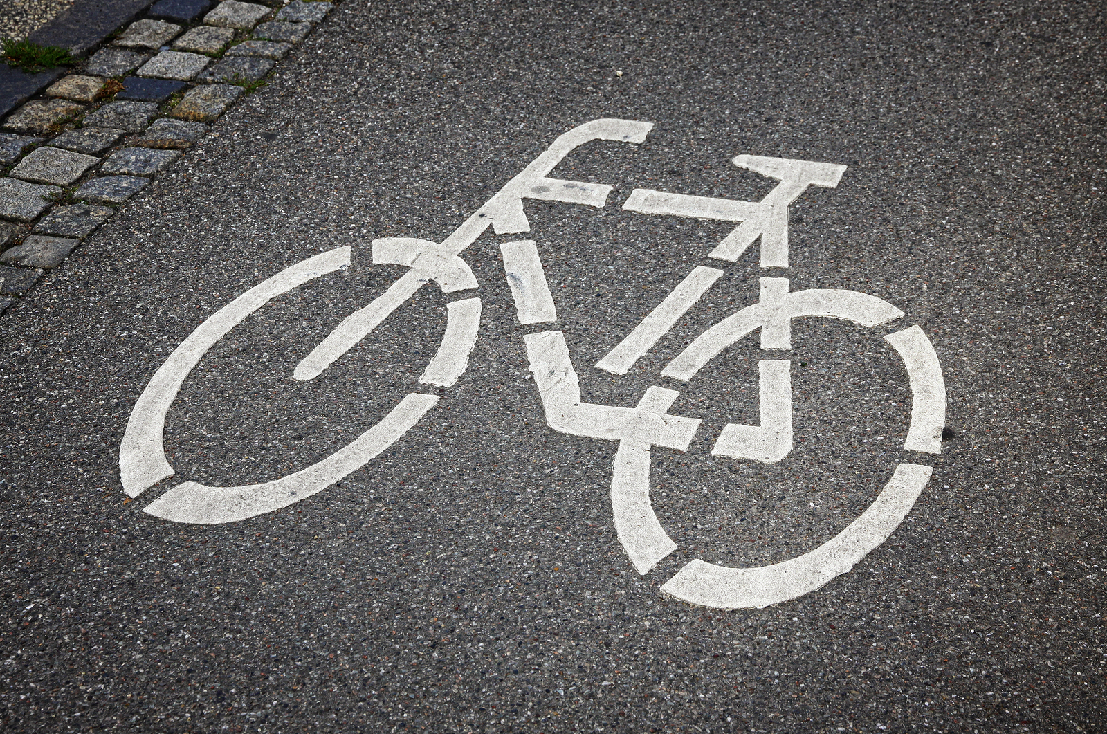 To Bike or Not to Bike: THAT is the Question