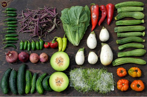 csa vegetables