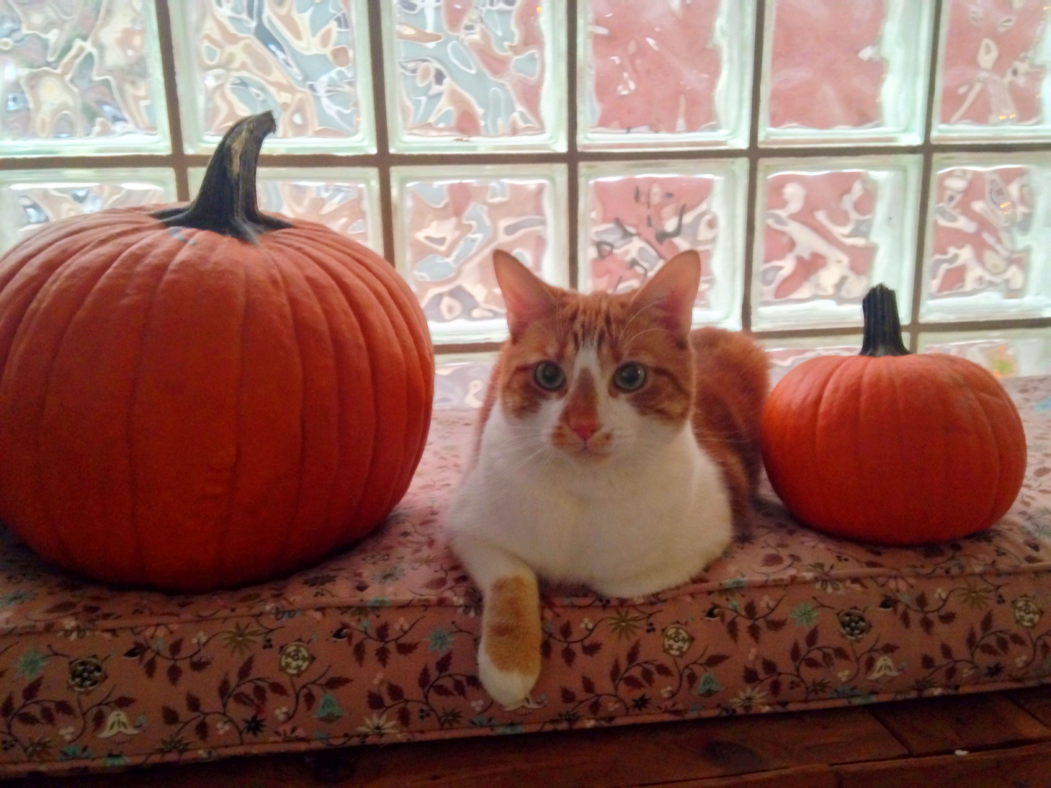 Happy Halloween!